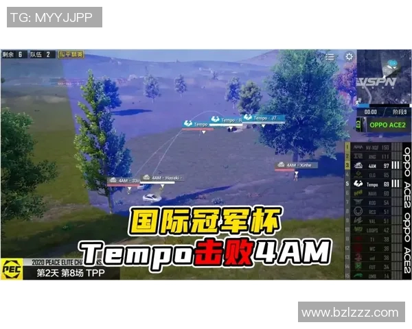 和平精英赛事深度解析TES团队协作策略与战术优势